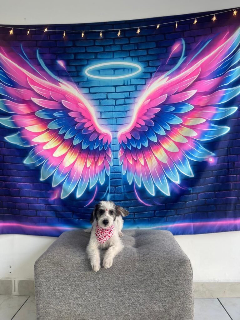 WhatsApp Image 2025-07-26 at 5.00.21 PM (1)