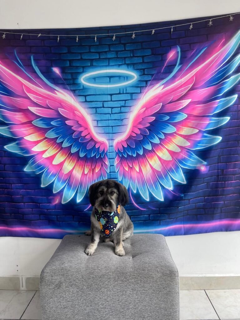 WhatsApp Image 2025-07-26 at 5.00.21 PM (11)