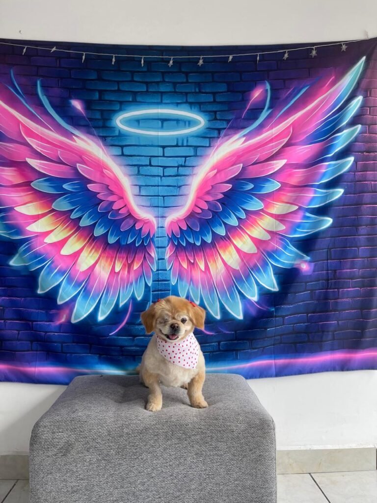 WhatsApp Image 2025-07-26 at 5.00.21 PM (14)