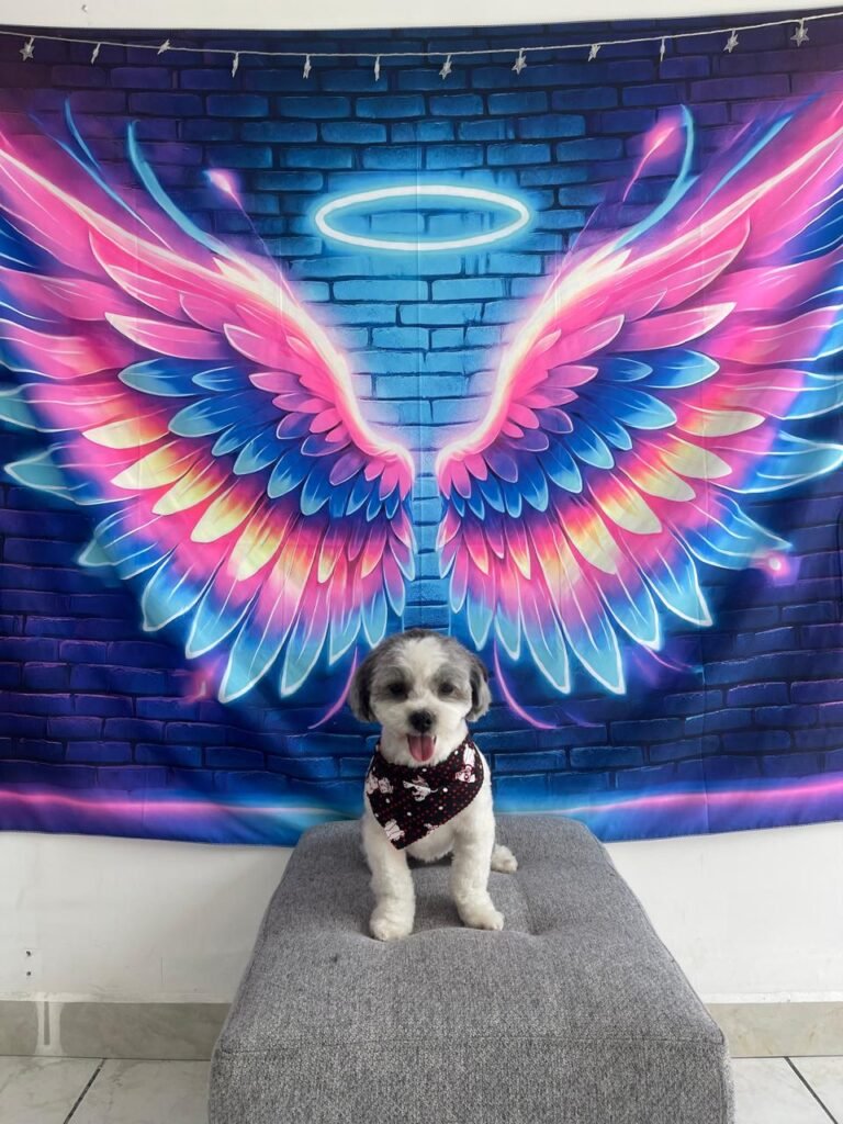 WhatsApp Image 2025-07-26 at 5.00.21 PM (17)