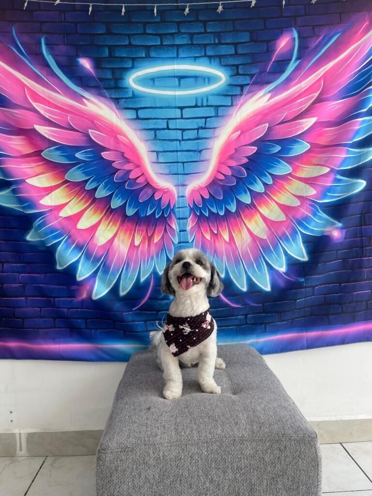 WhatsApp Image 2025-07-26 at 5.00.21 PM (18)