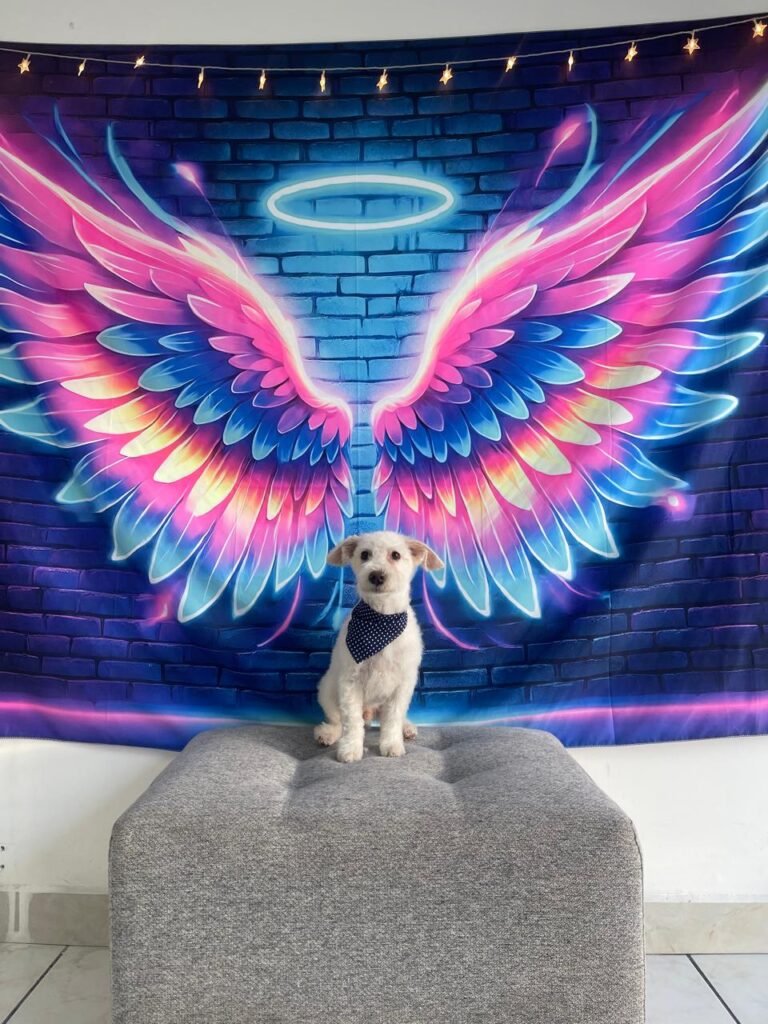 WhatsApp Image 2025-07-26 at 5.00.21 PM (2)