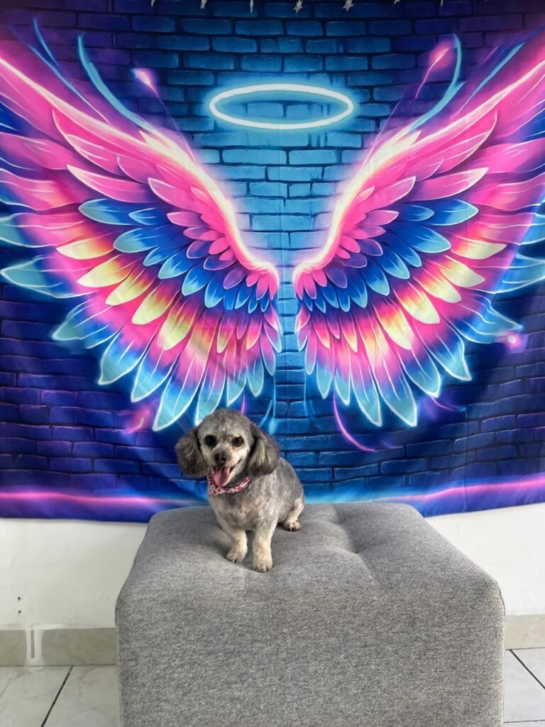 WhatsApp Image 2025-07-26 at 5.00.21 PM (4)