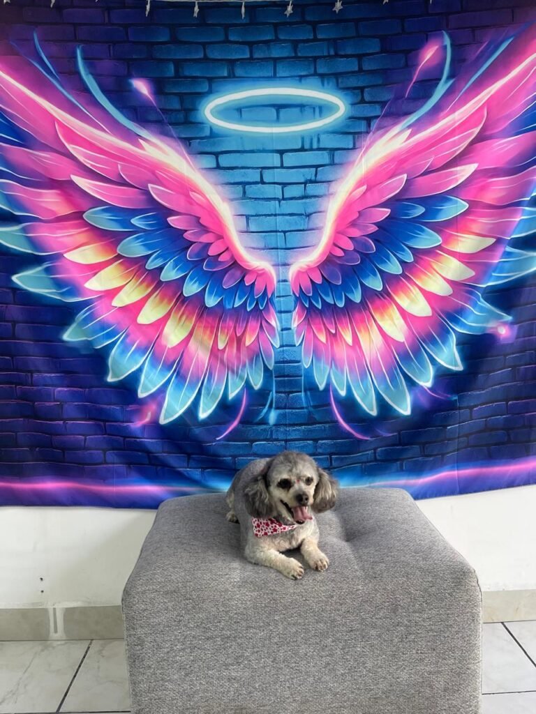 WhatsApp Image 2025-07-26 at 5.00.21 PM (5)