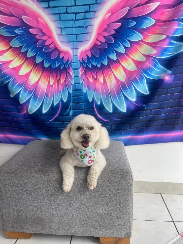 WhatsApp Image 2025-07-26 at 5.00.21 PM (7)