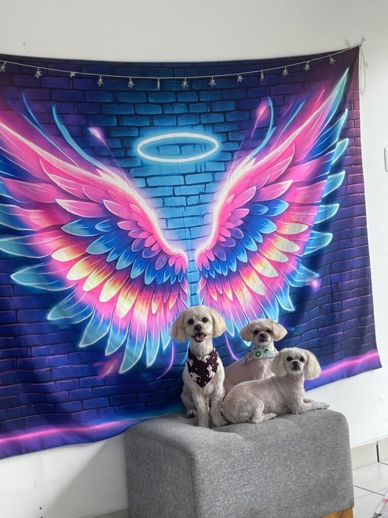 WhatsApp Image 2025-07-26 at 5.00.21 PM (8)