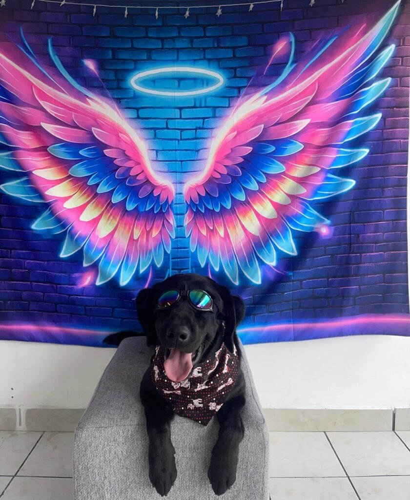 WhatsApp Image 2025-07-26 at 5.00.22 PM (1)